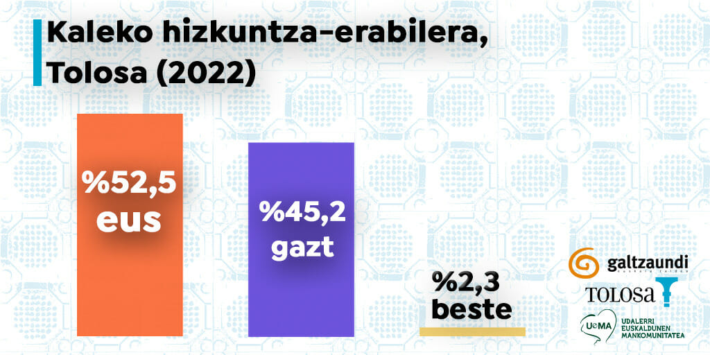 Tolosako kaleetako euskara-erabilera %52,5ekoa da 13