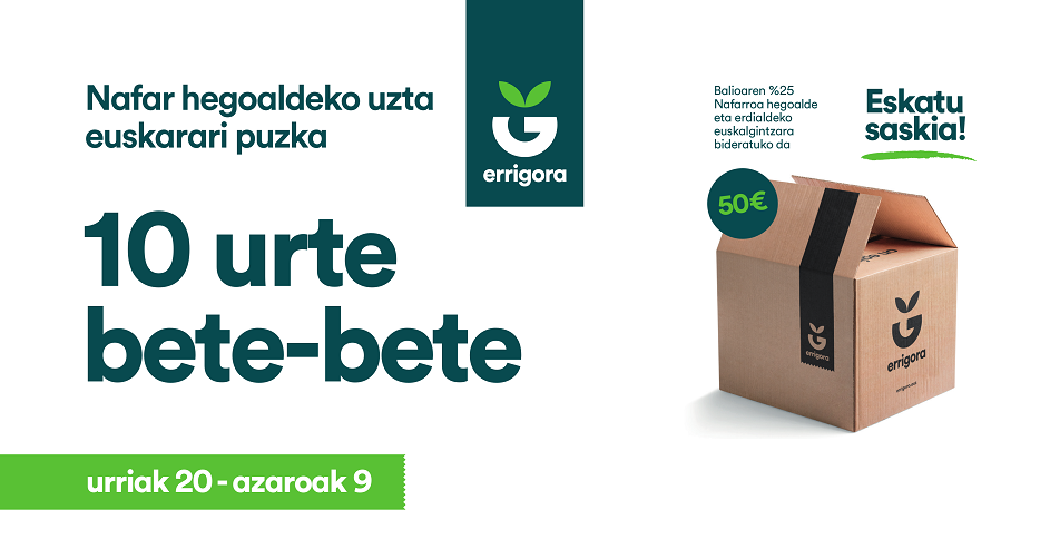 Eskatu zure Errigora saskia azaroaren 9a baino lehen 1