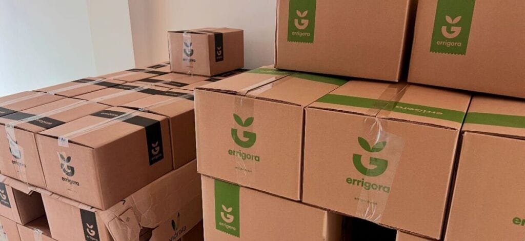 Non eta noiz jaso Errigorako saskiak 1